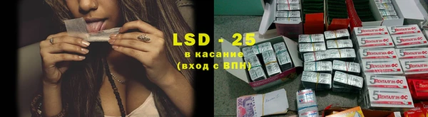 spice Лагань