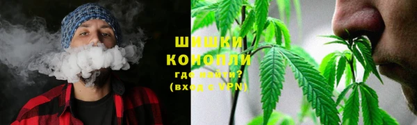 spice Лагань