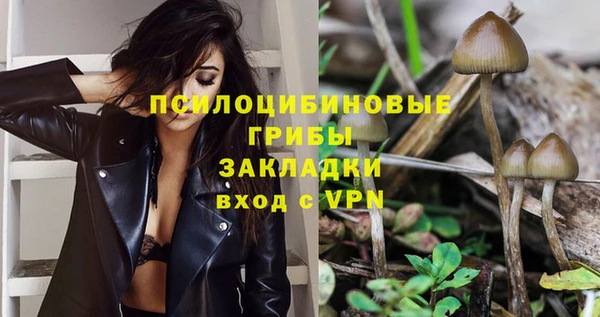 spice Лагань