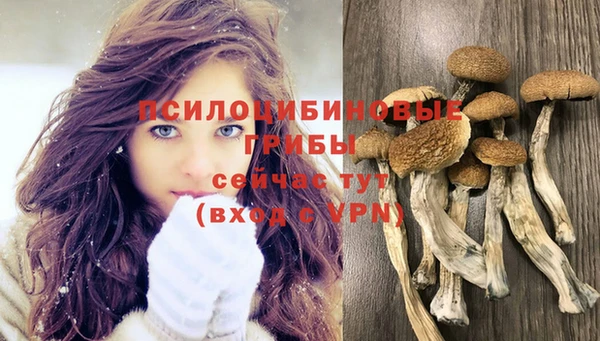 spice Лагань