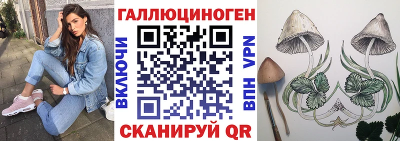 Псилоцибиновые грибы MAGIC MUSHROOMS  Купить где  Южноуральск 